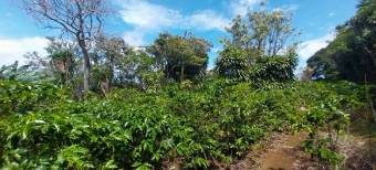 Lot for sale, Concepcion de San Rafael 1,741 sq. mtrs. Lot for sale, Concepcion de San Rafael 1,741 sq. mtrs.