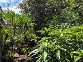 Venta de Lote  Propiedades en Tibás-San Juan. RAH 27-192