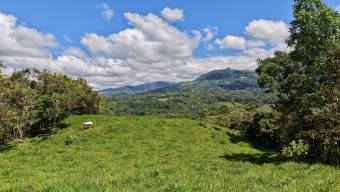 VENTA DE REFUGIO NATURAL DE 3.2 HA EN LAS FALDAS DEL CHIRRIPO, MIRAFLORES, PEREZ ZELEDON