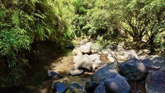 VENTA DE REFUGIO NATURAL DE 3.2 HA EN LAS FALDAS DEL CHIRRIPO, MIRAFLORES, PEREZ ZELEDON