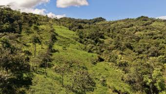 VENTA DE REFUGIO NATURAL DE 3.2 HA EN LAS FALDAS DEL CHIRRIPO, MIRAFLORES, PEREZ ZELEDON