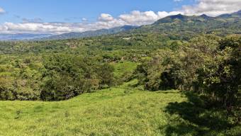 VENTA DE REFUGIO NATURAL DE 3.2 HA EN LAS FALDAS DEL CHIRRIPO, MIRAFLORES, PEREZ ZELEDON