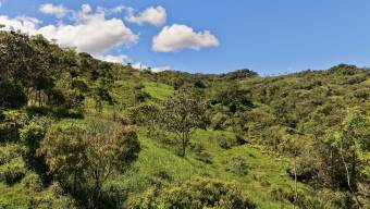 VENTA DE REFUGIO NATURAL DE 3.2 HA EN LAS FALDAS DEL CHIRRIPO, MIRAFLORES, PEREZ ZELEDON