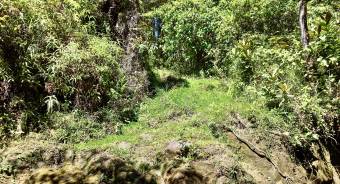 VENTA DE REFUGIO NATURAL DE 3.2 HA EN LAS FALDAS DEL CHIRRIPO, MIRAFLORES, PEREZ ZELEDON
