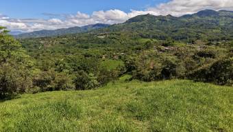 VENTA DE REFUGIO NATURAL DE 3.2 HA EN LAS FALDAS DEL CHIRRIPO, MIRAFLORES, PEREZ ZELEDON
