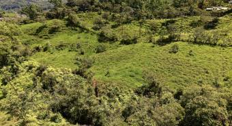 VENTA DE REFUGIO NATURAL DE 3.2 HA EN LAS FALDAS DEL CHIRRIPO, MIRAFLORES, PEREZ ZELEDON