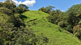 VENTA DE REFUGIO NATURAL DE 3.2 HA EN LAS FALDAS DEL CHIRRIPO, MIRAFLORES, PEREZ ZELEDON