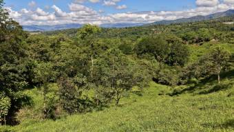 VENTA DE REFUGIO NATURAL DE 3.2 HA EN LAS FALDAS DEL CHIRRIPO, MIRAFLORES, PEREZ ZELEDON