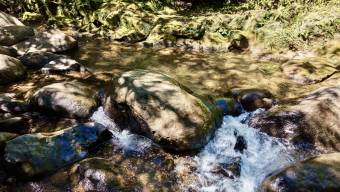 VENTA DE REFUGIO NATURAL DE 3.2 HA EN LAS FALDAS DEL CHIRRIPO, MIRAFLORES, PEREZ ZELEDON