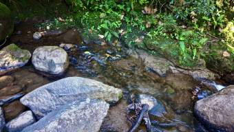 VENTA DE REFUGIO NATURAL DE 3.2 HA EN LAS FALDAS DEL CHIRRIPO, MIRAFLORES, PEREZ ZELEDON