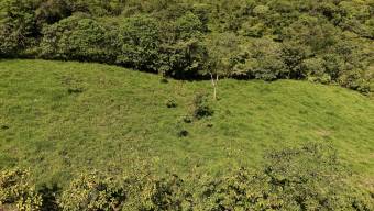VENTA DE REFUGIO NATURAL DE 3.2 HA EN LAS FALDAS DEL CHIRRIPO, MIRAFLORES, PEREZ ZELEDON