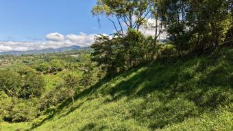VENTA DE REFUGIO NATURAL DE 3.2 HA EN LAS FALDAS DEL CHIRRIPO, MIRAFLORES, PEREZ ZELEDON