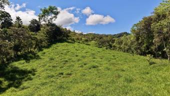 VENTA DE REFUGIO NATURAL DE 3.2 HA EN LAS FALDAS DEL CHIRRIPO, MIRAFLORES, PEREZ ZELEDON