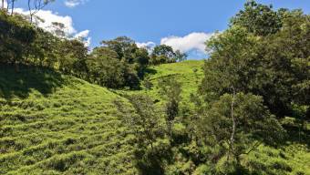 VENTA DE REFUGIO NATURAL DE 3.2 HA EN LAS FALDAS DEL CHIRRIPO, MIRAFLORES, PEREZ ZELEDON