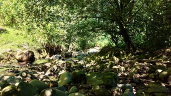 VENTA DE REFUGIO NATURAL DE 3.2 HA EN LAS FALDAS DEL CHIRRIPO, MIRAFLORES, PEREZ ZELEDON