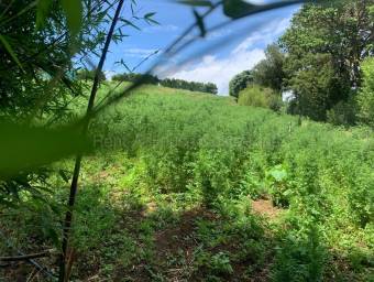 Venta de Lote en Zarcero-Guadalupe. RAH 27-136
