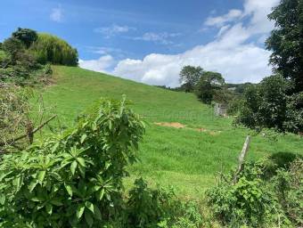 Venta de Lote en Zarcero-Guadalupe. RAH 27-136