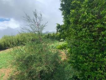 Venta de Lote en Zarcero-Guadalupe. RAH 27-136