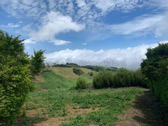 Venta de Lote en Zarcero-Guadalupe. RAH 27-136