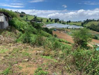 Venta de Lote en Zarcero-Guadalupe. RAH 27-136