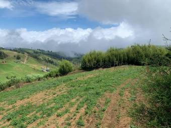 Venta de Lote en Zarcero-Guadalupe. RAH 27-136