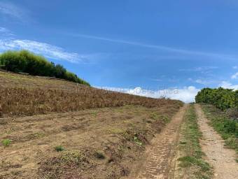 Venta de Lote en Zarcero-Guadalupe. RAH 27-136