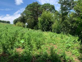 Venta de Lote en Zarcero-Guadalupe. RAH 27-136