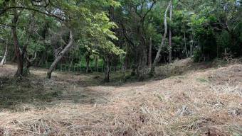 Venta de Lote en Residencial Montaña del Sol en Pozos de Santa Ana. RAH 27-123