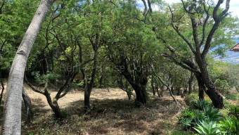 Venta de Lote en Residencial Montaña del Sol en Pozos de Santa Ana. RAH 27-123