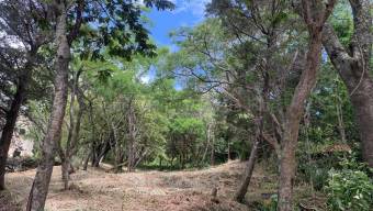 Venta de Lote en Residencial Montaña del Sol en Pozos de Santa Ana. RAH 27-123