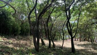 Venta de Lote en Residencial Montaña del Sol en Pozos de Santa Ana. RAH 27-123
