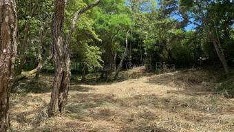 Venta de Lote en Residencial Montaña del Sol en Pozos de Santa Ana. RAH 27-123