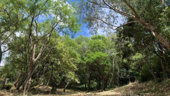 Venta de Lote en Residencial Montaña del Sol en Pozos de Santa Ana. RAH 27-123