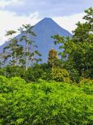 Venta de Terreno con Cabaña en La Fortuna-San Carlos, Alajuela. RAH 27-206 