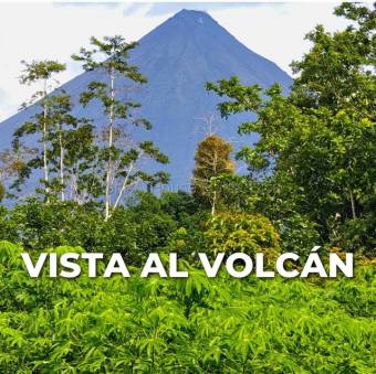 Venta de Terreno con Cabaña en La Fortuna-San Carlos, Alajuela. RAH 27-206 