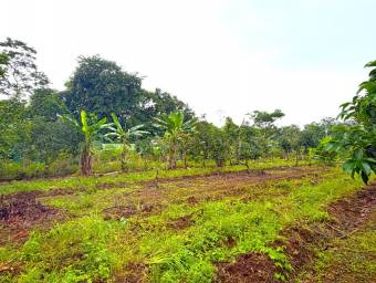 Venta de Terreno con Cabaña en La Fortuna-San Carlos, Alajuela. RAH 27-206 
