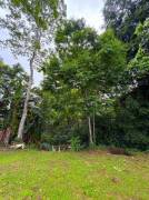 Venta de Terreno con Cabaña en La Fortuna-San Carlos, Alajuela. RAH 27-206 