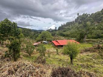 Venta de FINCA  CABAÑA en Dota-Copey, San José. RAH 27-219