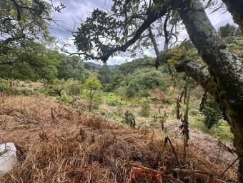 Venta de FINCA  CABAÑA en Dota-Copey, San José. RAH 27-219