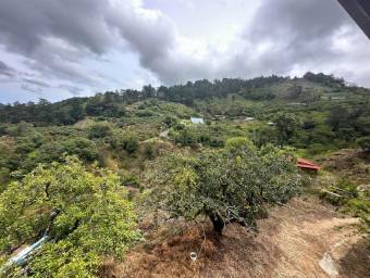 Venta de FINCA  CABAÑA en Dota-Copey, San José. RAH 27-219