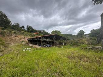 Venta de FINCA  CABAÑA en Dota-Copey, San José. RAH 27-219