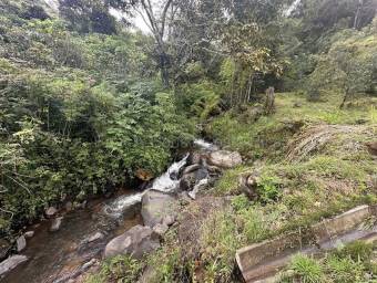 Venta de FINCA  CABAÑA en Dota-Copey, San José. RAH 27-219
