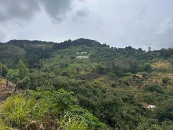Venta de FINCA  CABAÑA en Dota-Copey, San José. RAH 27-219