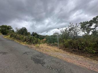 Venta de FINCA  CABAÑA en Dota-Copey, San José. RAH 27-219