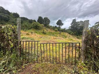 Venta de FINCA  CABAÑA en Dota-Copey, San José. RAH 27-219