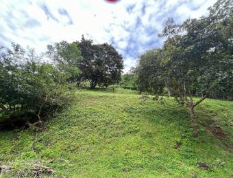 Venta de Extenso Lote de Terreno en Atenas, Alajuela / Mls. 26-956 OFC JB