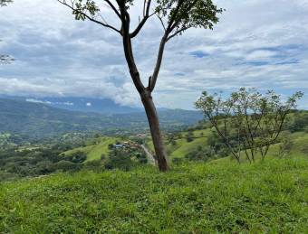 Venta de Extenso Lote de Terreno en Atenas, Alajuela / Mls. 26-956 OFC JB