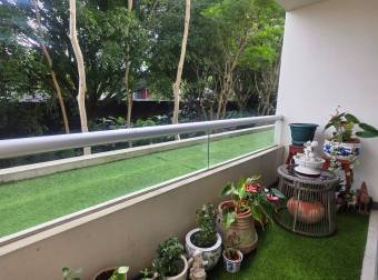 HEREDIA BARREAL RENTO APARTAMENTO AMUEBLADO $1.100 HEREDIA BARREAL RENTO APARTAMENTO AMUEBLADO $1.100