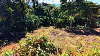 VENTA DE LOTE RESIDENCIAL DE 2.218 M2 EN BARRIO JUAN PABLO II