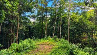 SE VENDE TERRENO LISTO PARA CONSTRUIR CON NACIENTE PROPIA Y CLIMA PERFECTO